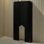 Wall Hung Toilet with Black Glass Cabinet, Cistern & Pneumatic Dual Flush Button - Albi