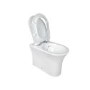 Back to Wall Rimless Toilet with Soft Close Seat - Indiana