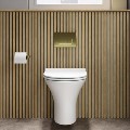 Indiana Wall Hung Toilet 820mm Pneumatic Frame & Cistern & Brushed Brass Flush Plate
