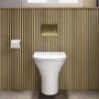 Wall Hung Rimless Toilet with Soft Close Seat, Brushed Brass Pneumatic Flush Plate, 820mm Frame & Cistern – Indiana