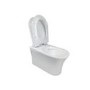 Wall Hung Rimless Toilet with Soft Close Seat, Brushed Brass Mechanical Flush Plate, 1168mm Frame & Cistern – Indiana