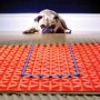 1sqm DCM Pro Electric Underfloor Heating Kit with Tempo Thermostat & Heated Towel Bar - Warmup