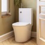 Close Coupled Open Back Toilet with Sink on Top & Chrome Fittings - Legend