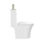 Close Coupled Open Back Toilet with Sink on Top & Brass Fittings - Legend