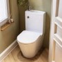 Close Coupled Closed Back Toilet with Sink on Top & Chrome Fittings - Legend