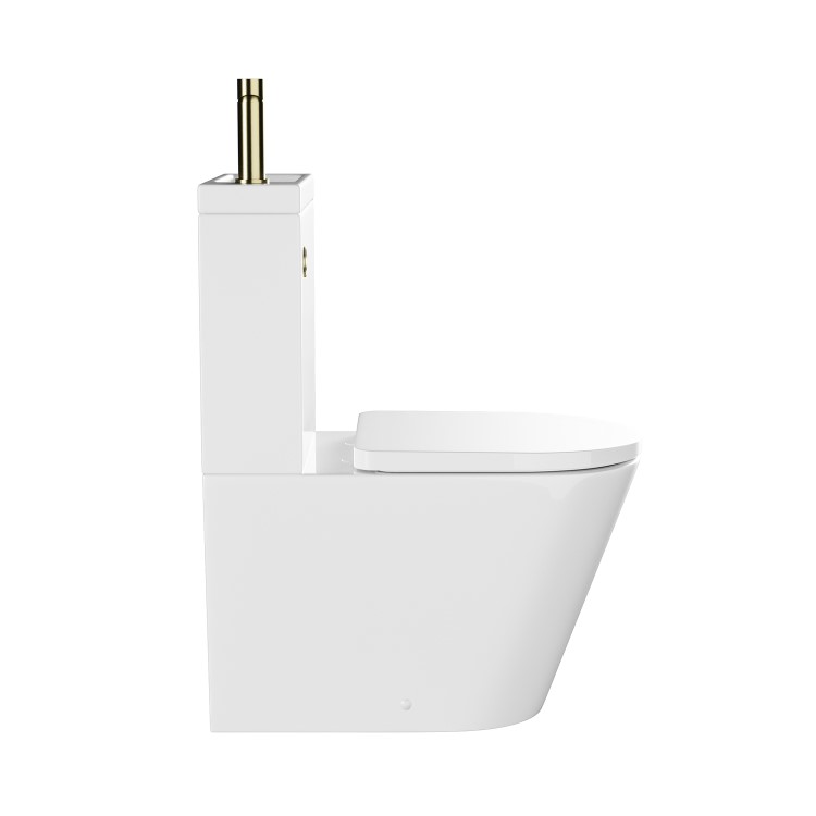 Close Coupled Closed Back Toilet with Sink on Top & Brass Fittings - Legend