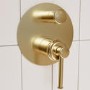 Brushed Brass 2 Outlet Mixer Shower Set With Bath Filler Spout - Lyla