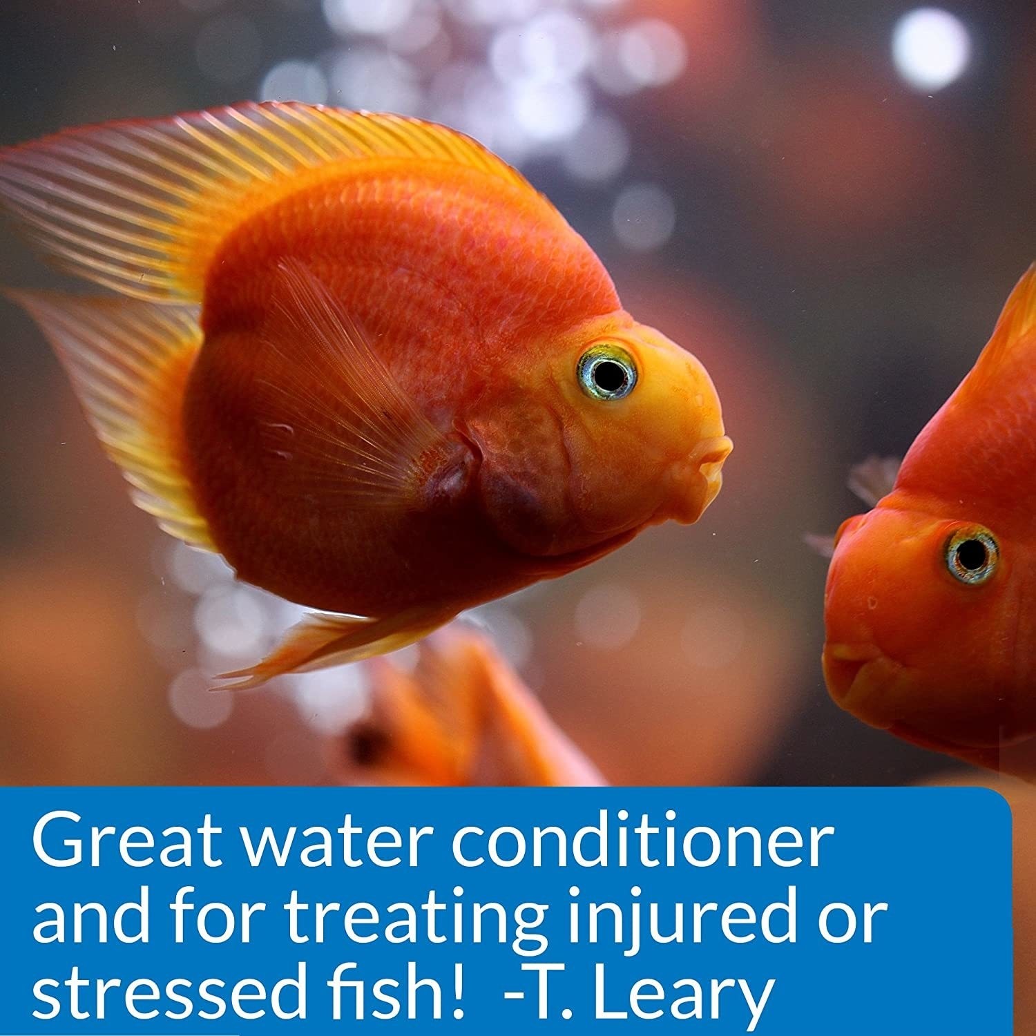 API Stress Coat Aquarium Water Conditioner Bottle - Picture 30 of 31