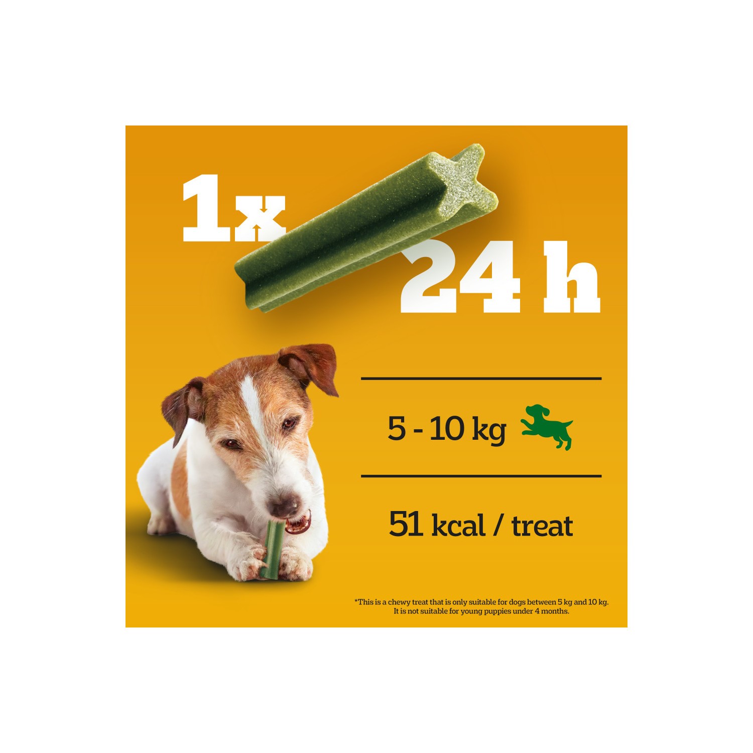 70 Pedigree Daily Dentastix Fresh Dental Sticks Dog Treats Small Dog Chews