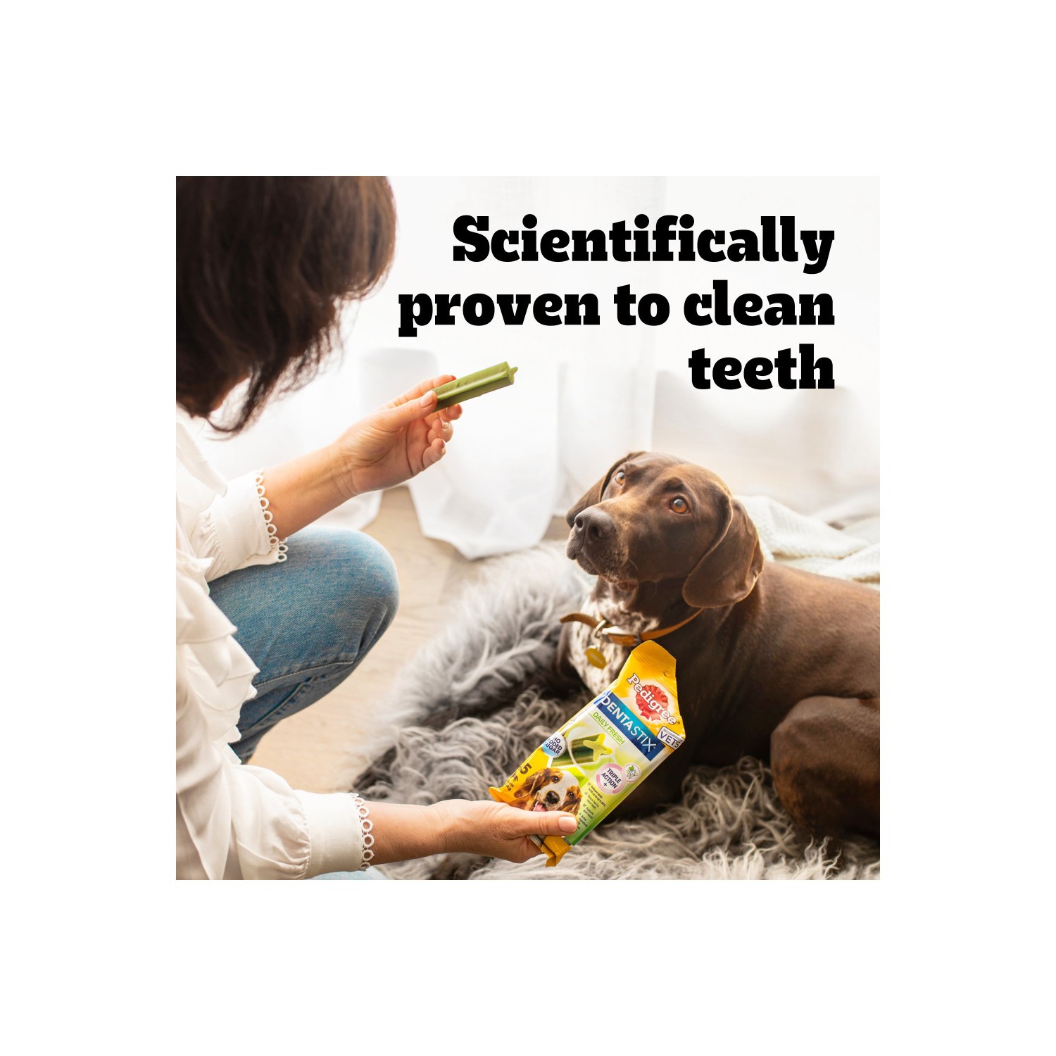 70 Pedigree Daily Dentastix Fresh Dental Sticks Dog Treats Small Dog Chews