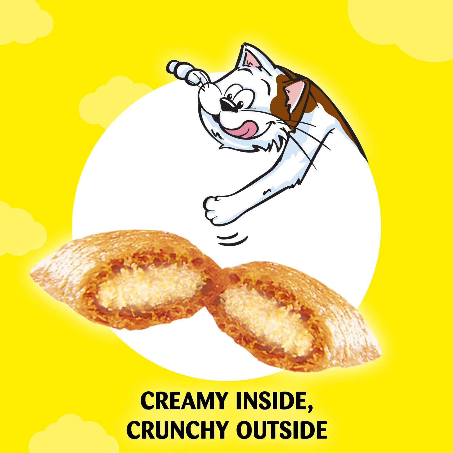 2 x 350g Dreamies Cat Treats Mixed Variety Pack Chicken and Cheese Tubs 700g