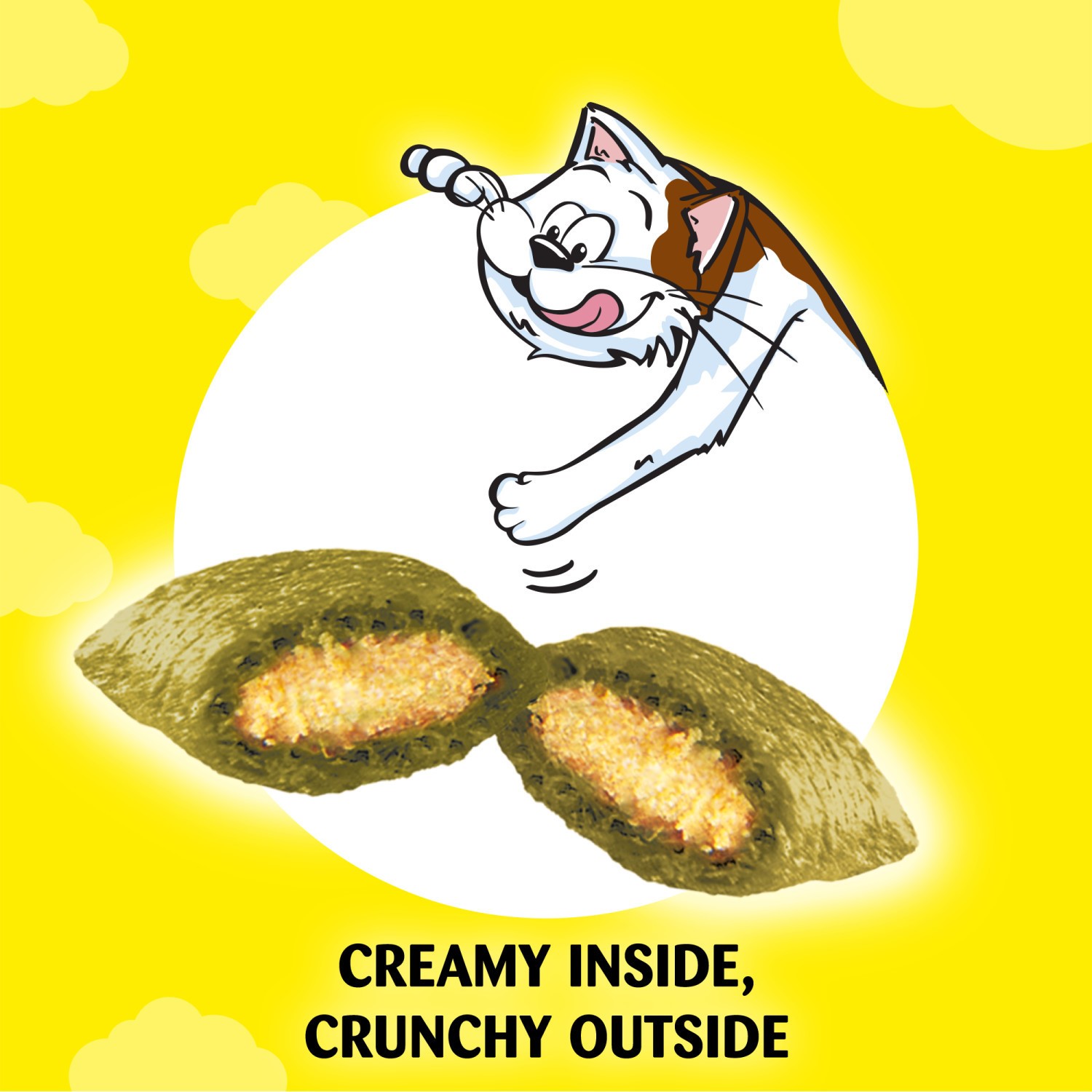16 x 60g Dreamies Catnip Cat Treats with Vitamins & Minerals Cat Biscuits 960g