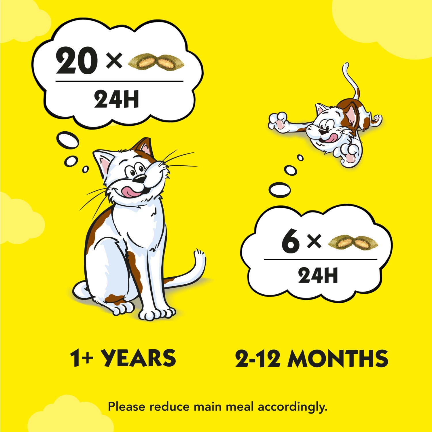 16 x 60g Dreamies Catnip Cat Treats with Vitamins & Minerals Cat Biscuits 960g