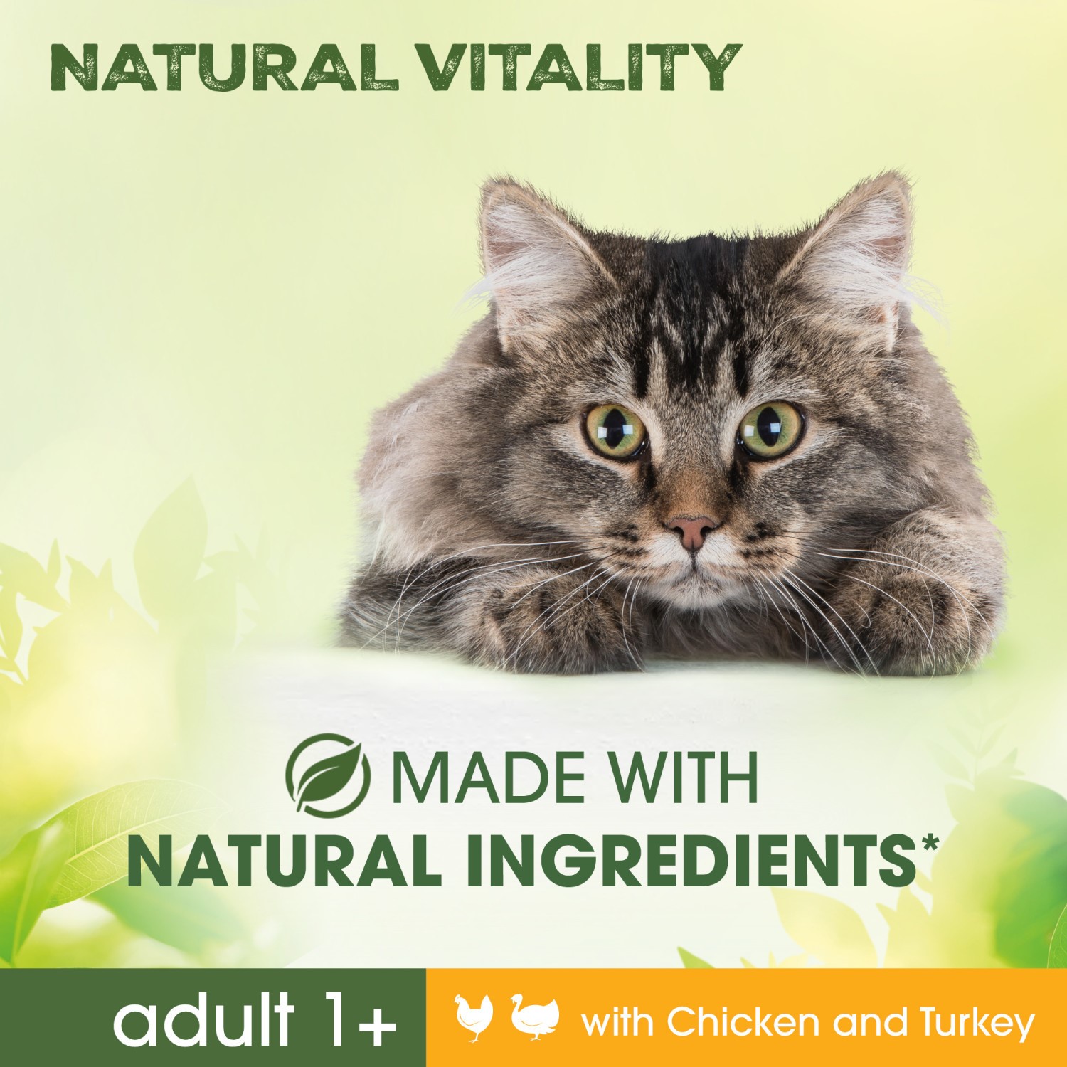 12kg Perfect Fit Natural Vitality Adult Complete Dry Cat Food Chicken  Turkey