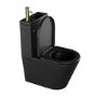 Matt Black Close Coupled Closed Back Toilet with Brass Fittings & Sink on Top - Legend