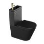Matt Black Close Coupled Closed Back Toilet with Brass Fittings & Sink on Top - Legend