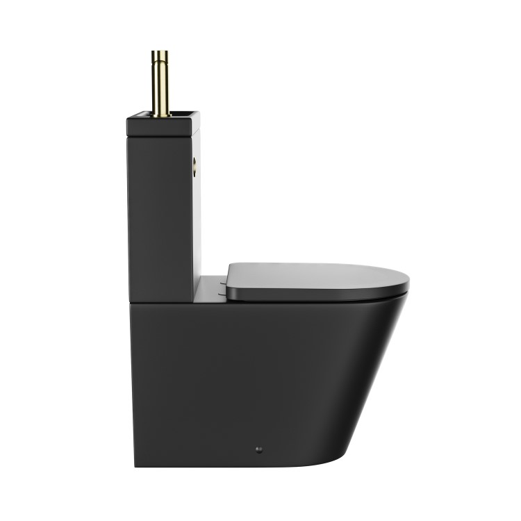 Matt Black Close Coupled Closed Back Toilet with Brass Fittings & Sink on Top - Legend