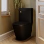 Matt Black Close Coupled Closed Back Toilet with Sink on Top & Brass Fittings Cloakroom Suite - Legend