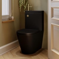 Matt Black Close Coupled Closed Back Toilet with Sink on Top & Brass Fittings Cloakroom Suite - Legend