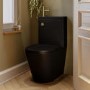Matt Black Close Coupled Closed Back Toilet with Sink on Top & Brass Fittings Cloakroom Suite - Legend