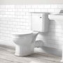 Park Royal Close Coupled Toilet