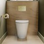 Back to Wall Rimless Short Projection Toilet with Soft Close Seat and Tornado Flush - Newport