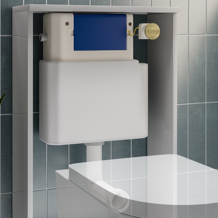 Albi Back to Wall Rimless Toilet with Soft Close Seat & Concealed Cistern With Brushed Brass Push Button