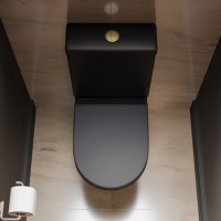 Matt Black Close Coupled Rimless Closed Back Short Projection Toilet with Brushed Brass Button and Tornado Flush - Newport