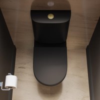 Matt Black Close Coupled Rimless Open Back Short Projection Toilet with Brushed Brass Button and Tornado Flush - Newport