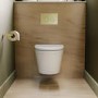 Wall Hung Rimless Short Projection Toilet with Soft Close Seat and Tornado Flush – Newport