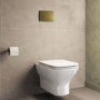Wall Hung Rimless Toilet with Soft Close Seat, Brushed Brass Pneumatic Flush Plate, 1168mm Frame & Cistern – Palma