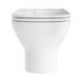 Wall Hung Rimless Toilet with Soft Close Seat, Brushed Brass Pneumatic Flush Plate, 1168mm Frame & Cistern – Palma