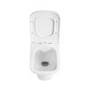 Wall Hung Rimless Toilet with Soft Close Seat, Brushed Brass Pneumatic Flush Plate, 1168mm Frame & Cistern – Palma