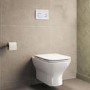 Palma Wall Hung Toilet 1160mm Pneumatic Frame & Cistern & White Glass Flush Plate