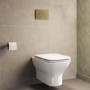Palma Wall Hung Toilet 1160mm Mechanical WC Frame & Cistern & Brushed Brass Mechanical Flush Plate