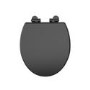 Close Coupled Traditional Toilet with Black Wooden Soft Close Seat & Chrome Flush Lever - Park Royal