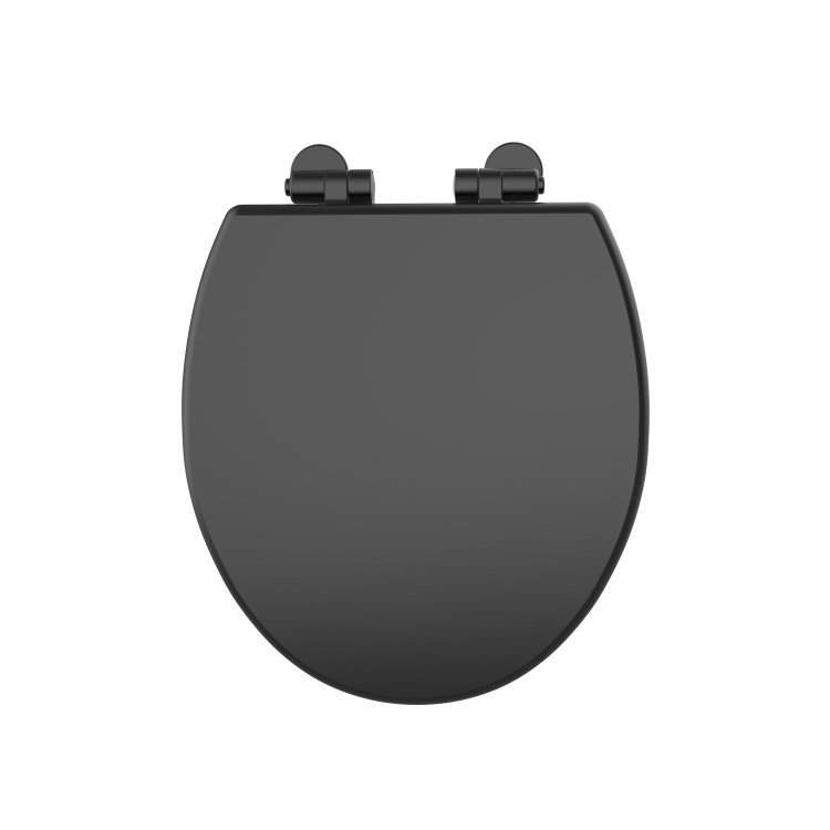 Close Coupled Traditional Toilet with Black Wooden Soft Close Seat & Brushed Brass Handle - Park Royal