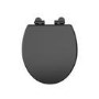 Close Coupled Traditional Toilet with Black Wooden Soft Close Seat & Brushed Brass Handle - Park Royal