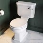 Traditional Close Coupled Toilet with Wooden Soft Close Seat & Matt Black Handle - Park Royal