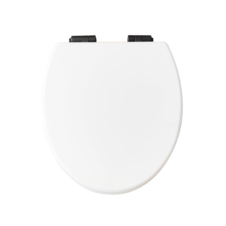 Traditional Close Coupled Toilet with Wooden Soft Close Seat & Matt Black Handle - Park Royal