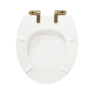 Traditional Close Coupled Toilet with Wooden Soft Close Seat & Brushed Brass Handle - Park Royal