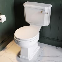 Traditional Close Coupled Toilet with Wooden Soft Close Seat & Brushed Brass Handle - Park Royal