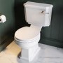 Traditional Close Coupled Toilet with Wooden Soft Close Seat & Brushed Brass Handle - Park Royal
