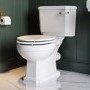 Traditional Close Coupled Toilet with Wooden Soft Close Seat & Brushed Brass Handle - Park Royal