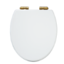 Traditional Close Coupled Toilet with Wooden Soft Close Seat & Brushed Brass Handle - Park Royal