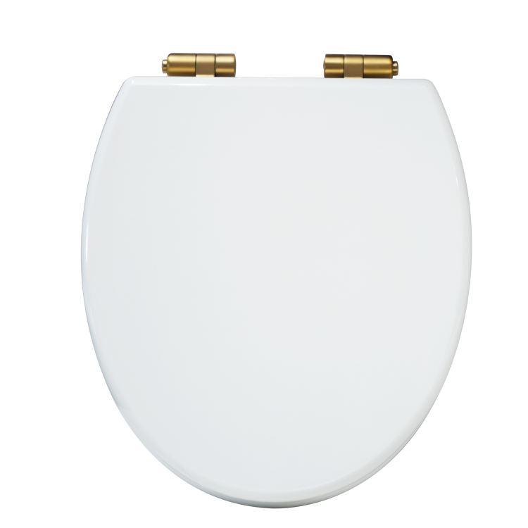 Traditional Close Coupled Toilet with Wooden Soft Close Seat & Brushed Brass Handle - Park Royal