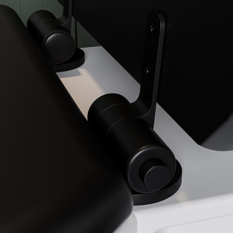 Traditional High Level Short Projection Toilet with Black Wooden Soft Close Seat - Park Royal