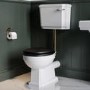 Close Coupled Traditional Low Level Short Projection Toilet with Black Wooden Soft Close Seat & Brass Fittings - Park Royal