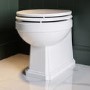 Back to Wall Traditional Toilet with Wooden Soft Close Seat and Chrome Hinges - Park Royal