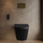 Matt Black Wall Hung Smart Bidet Japanese Toilet & 1160mm Frame Cistern and Brushed Brass Mechanical Flush Plate - Purificare